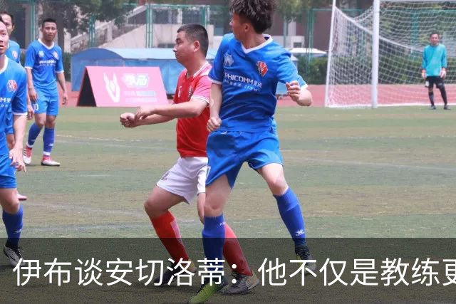 伊布谈安切洛蒂：他不仅是教练更是管理者 执教巴西对他是挑战