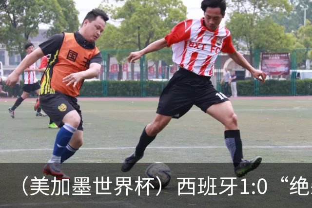 （美加墨世界杯）西班牙1:0“绝杀”葡萄牙 C罗结束世界杯征程